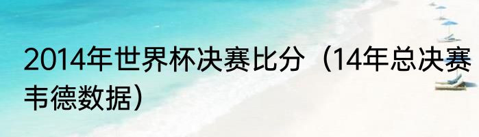 2014年世界杯决赛比分（14年总决赛韦德数据）