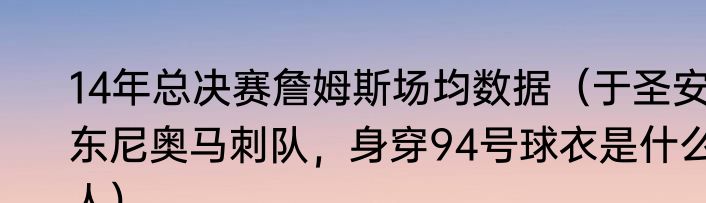 14年总决赛詹姆斯场均数据（于圣安东尼奥马刺队，身穿94号球衣是什么人）