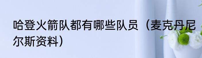 哈登火箭队都有哪些队员（麦克丹尼尔斯资料）