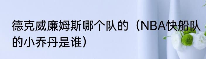德克威廉姆斯哪个队的（NBA快船队的小乔丹是谁）