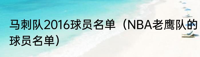 马刺队2016球员名单（NBA老鹰队的球员名单）