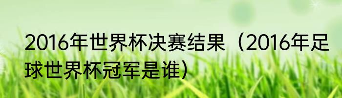 2016年世界杯决赛结果（2016年足球世界杯冠军是谁）