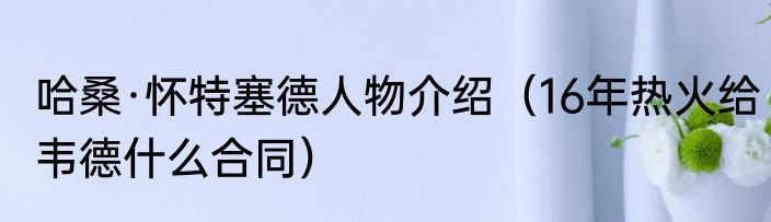 哈桑·怀特塞德人物介绍（16年热火给韦德什么合同）