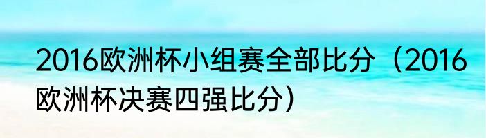 2016欧洲杯小组赛全部比分（2016欧洲杯决赛四强比分）