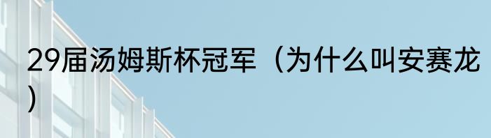 29届汤姆斯杯冠军（为什么叫安赛龙）