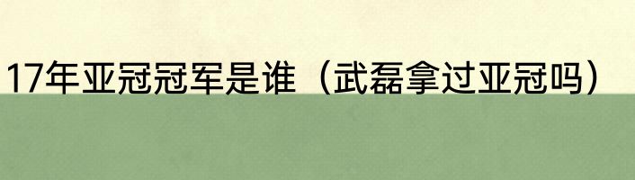 17年亚冠冠军是谁（武磊拿过亚冠吗）