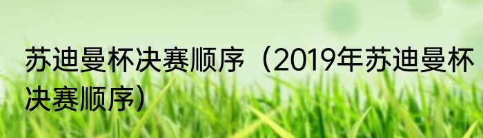 苏迪曼杯决赛顺序（2019年苏迪曼杯决赛顺序）