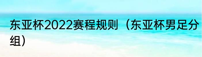 东亚杯2022赛程规则（东亚杯男足分组）