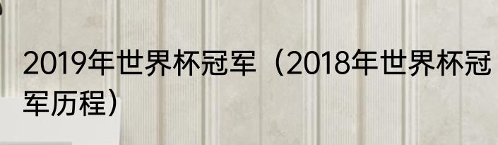 2019年世界杯冠军（2018年世界杯冠军历程）