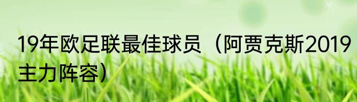 19年欧足联最佳球员（阿贾克斯2019主力阵容）