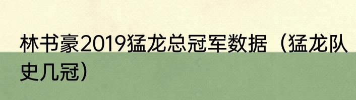 林书豪2019猛龙总冠军数据（猛龙队史几冠）