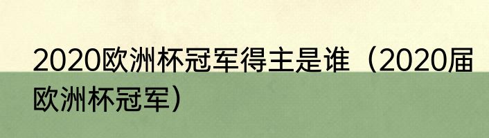 2020欧洲杯冠军得主是谁（2020届欧洲杯冠军）