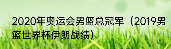 2020年奥运会男篮总冠军（2019男篮世界杯伊朗战绩）