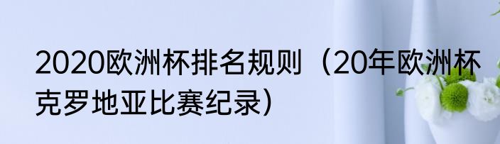 2020欧洲杯排名规则（20年欧洲杯克罗地亚比赛纪录）
