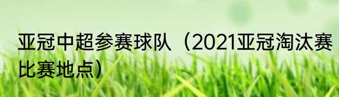 亚冠中超参赛球队（2021亚冠淘汰赛比赛地点）