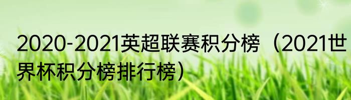 2020-2021英超联赛积分榜（2021世界杯积分榜排行榜）