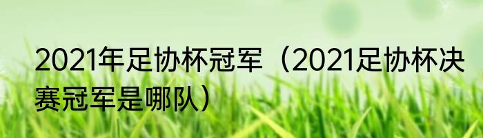 2021年足协杯冠军（2021足协杯决赛冠军是哪队）