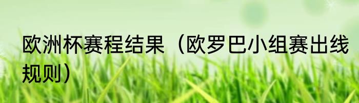欧洲杯赛程结果（欧罗巴小组赛出线规则）