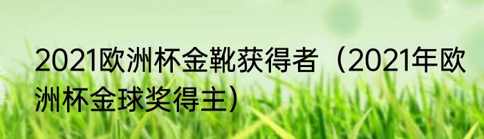 2021欧洲杯金靴获得者（2021年欧洲杯金球奖得主）