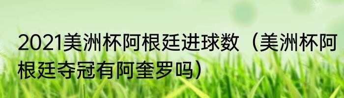 2021美洲杯阿根廷进球数（美洲杯阿根廷夺冠有阿奎罗吗）