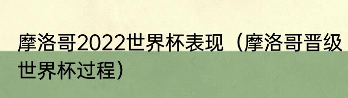 摩洛哥2022世界杯表现（摩洛哥晋级世界杯过程）