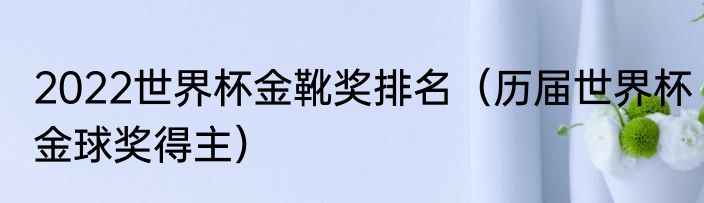 2022世界杯金靴奖排名（历届世界杯金球奖得主）