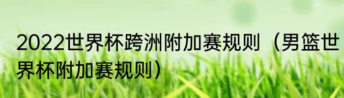 2022世界杯跨洲附加赛规则（男篮世界杯附加赛规则）