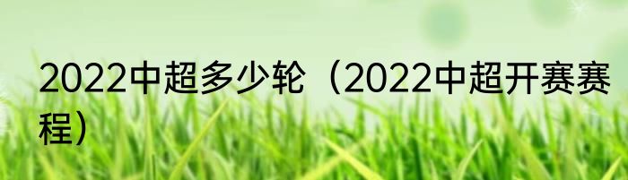 2022中超多少轮（2022中超开赛赛程）