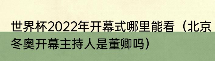 世界杯2022年开幕式哪里能看（北京冬奥开幕主持人是董卿吗）