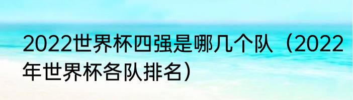 2022世界杯四强是哪几个队（2022年世界杯各队排名）
