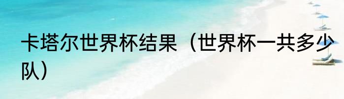 卡塔尔世界杯结果（世界杯一共多少队）