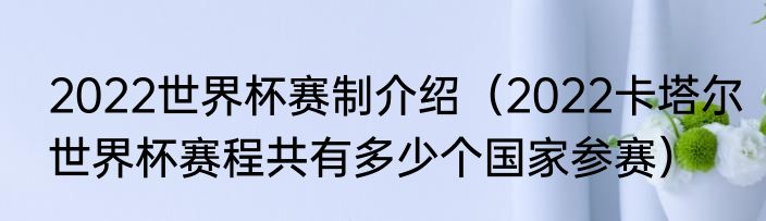 2022世界杯赛制介绍（2022卡塔尔世界杯赛程共有多少个国家参赛）