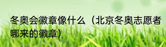 冬奥会徽章像什么（北京冬奥志愿者哪来的徽章）