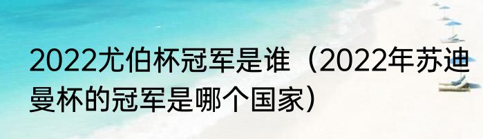 2022尤伯杯冠军是谁（2022年苏迪曼杯的冠军是哪个国家）