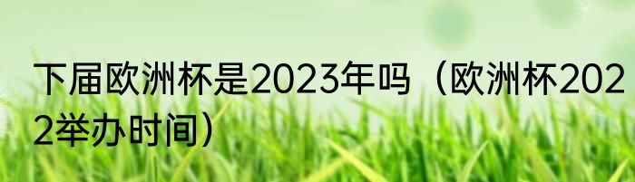 下届欧洲杯是2023年吗（欧洲杯2022举办时间）