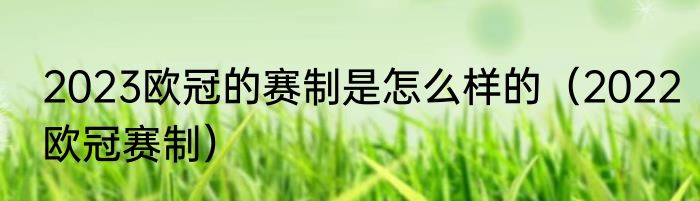 2023欧冠的赛制是怎么样的（2022欧冠赛制）