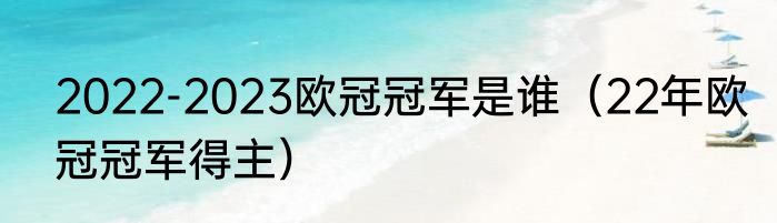 2022-2023欧冠冠军是谁（22年欧冠冠军得主）