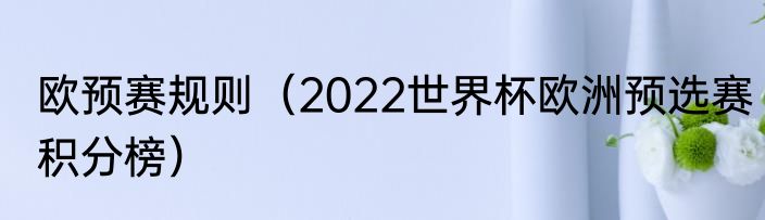欧预赛规则（2022世界杯欧洲预选赛积分榜）