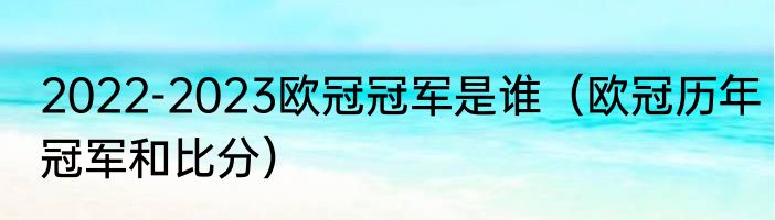 2022-2023欧冠冠军是谁（欧冠历年冠军和比分）