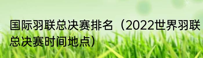 国际羽联总决赛排名（2022世界羽联总决赛时间地点）