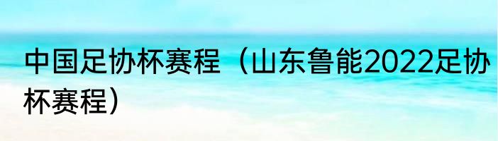 中国足协杯赛程（山东鲁能2022足协杯赛程）