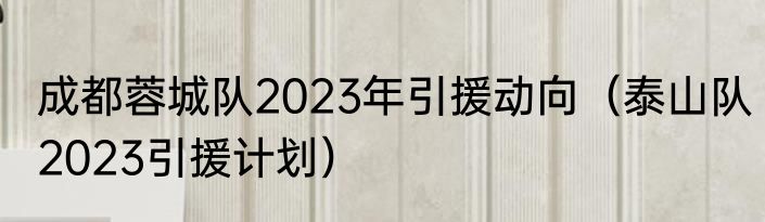 成都蓉城队2023年引援动向（泰山队2023引援计划）