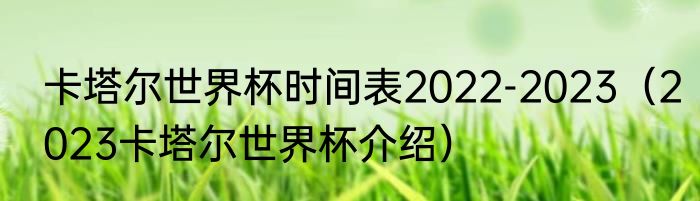 卡塔尔世界杯时间表2022-2023（2023卡塔尔世界杯介绍）