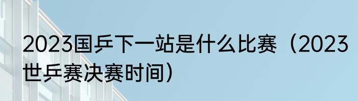 2023国乒下一站是什么比赛（2023世乒赛决赛时间）