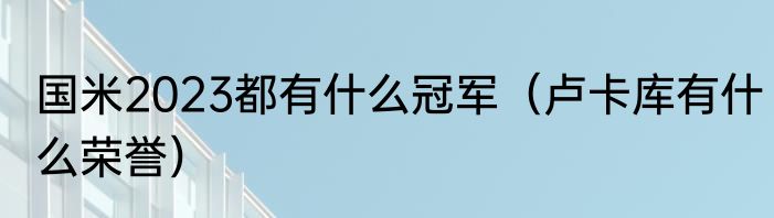 国米2023都有什么冠军（卢卡库有什么荣誉）