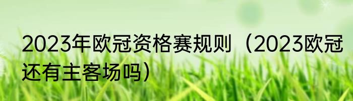 2023年欧冠资格赛规则（2023欧冠还有主客场吗）