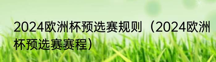 2024欧洲杯预选赛规则（2024欧洲杯预选赛赛程）