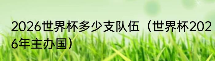 2026世界杯多少支队伍(世界杯2026年主办国)