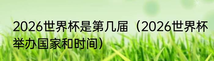 2026世界杯是第几届（2026世界杯举办国家和时间）