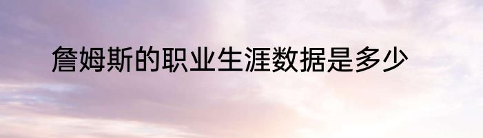詹姆斯的职业生涯数据是多少